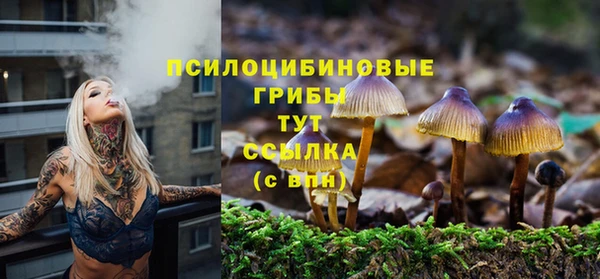 герыч Каменка