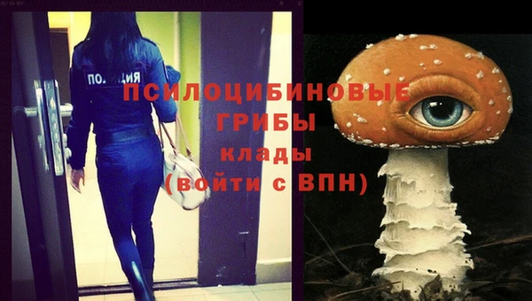 MDMA Premium VHQ Каменногорск